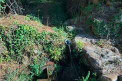 3d10e56e-2354-4623-88b7-291967ae7e43_result