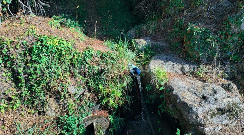 3d10e56e-2354-4623-88b7-291967ae7e43_result