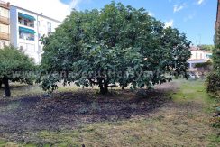 3d28c439-4299-498d-889d-a298a4a0f4a6_result