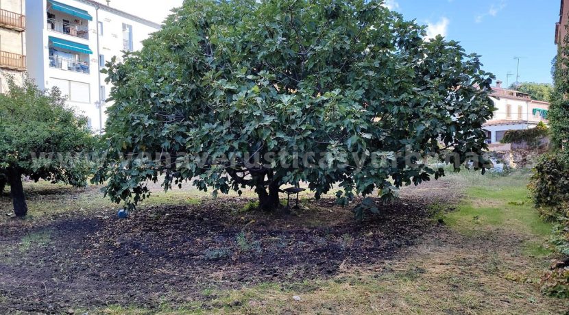 3d28c439-4299-498d-889d-a298a4a0f4a6_result