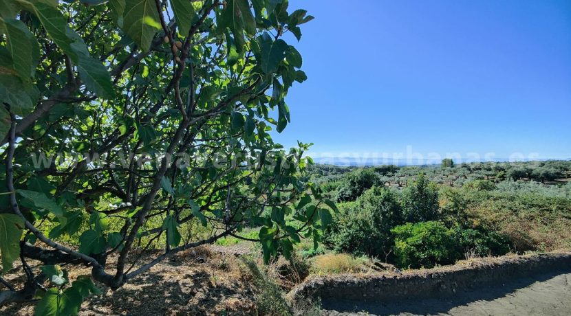 61b81a0c-6864-46c8-9ef2-e4652fff6698_result