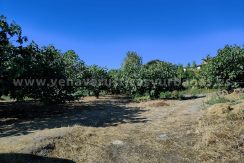 656c1163-d86c-487c-950a-3beddc3693fc_result