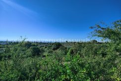 6939cba7-6a00-4b50-ba89-29126042482d_result