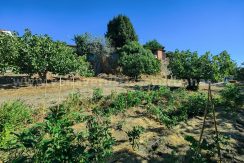 6e8a2035-bc45-42d0-96d2-fc7fb3f3b6ab_result