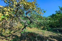 85b9678b-f9c4-42f5-8768-157ccfb535e1_result