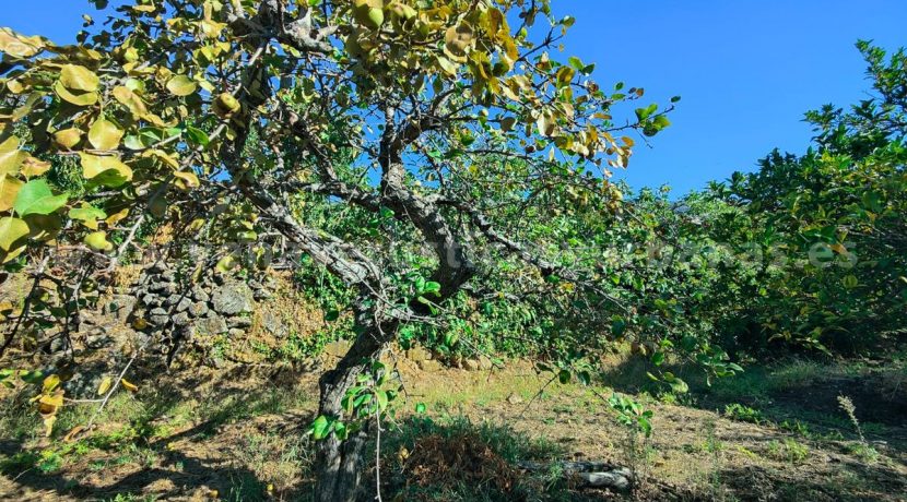 85b9678b-f9c4-42f5-8768-157ccfb535e1_result