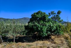 8d2f2e65-0319-4f37-aa68-b884f926e46a_result