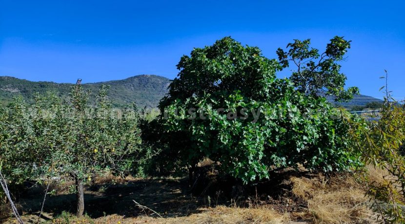 8d2f2e65-0319-4f37-aa68-b884f926e46a_result