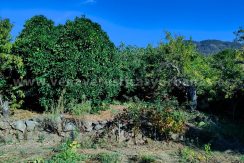 972d6d30-7119-42d5-acc7-85b215dc7194_result