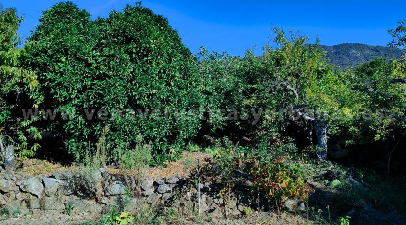 972d6d30-7119-42d5-acc7-85b215dc7194_result