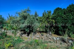 a48520dc-cd49-4a3c-8d36-0ebb2057a645_result