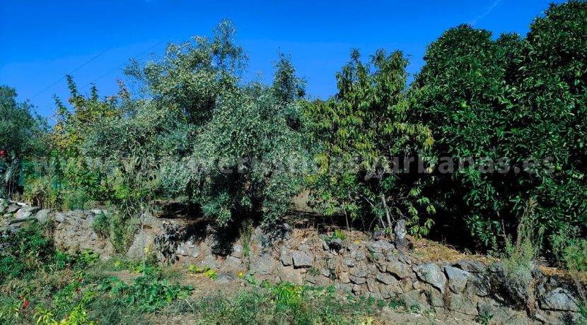 a48520dc-cd49-4a3c-8d36-0ebb2057a645_result