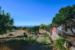 af52f99e-140e-4e62-9373-82d26ef9b871_result