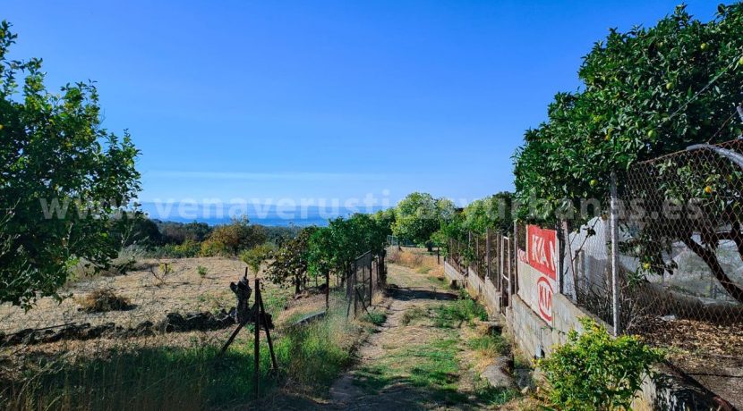 af52f99e-140e-4e62-9373-82d26ef9b871_result