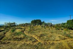 b0514e5c-9a79-4903-820d-54830041599b_result