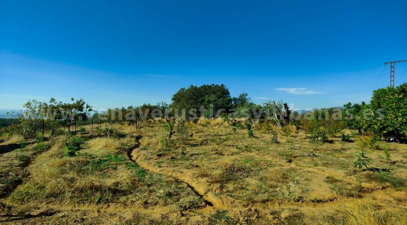 b0514e5c-9a79-4903-820d-54830041599b_result