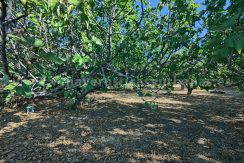 b1e9f43d-2725-442e-a43d-6338393e3e6c_result