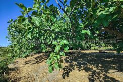 bb871583-647d-40ad-b38f-4fcdfc0e7801_result