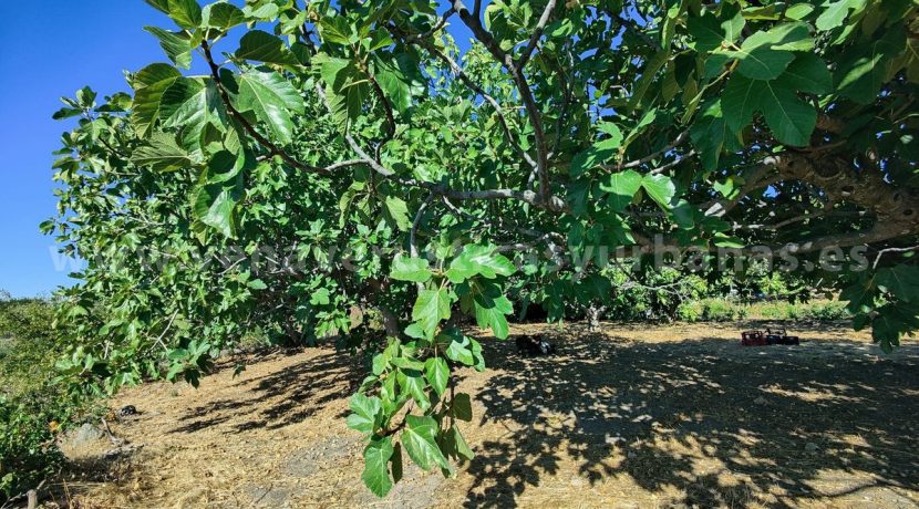 bb871583-647d-40ad-b38f-4fcdfc0e7801_result