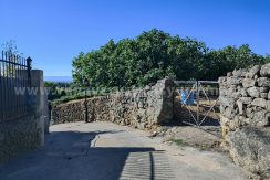 c393f7f1-62bd-4e87-8897-f03074bf3a6a_result