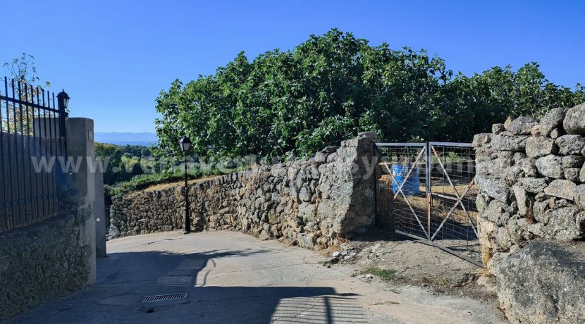 c393f7f1-62bd-4e87-8897-f03074bf3a6a_result