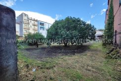 d737a239-b67a-474e-a1c5-1acc6ef82495_result