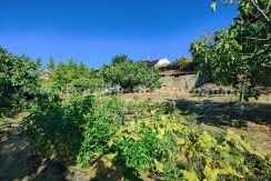 db135de3-e8b8-4c91-815b-83c6a3f9254f_result