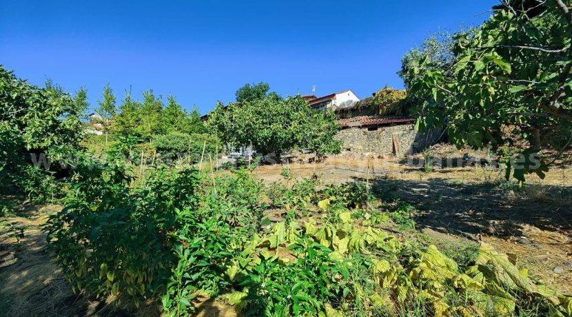 db135de3-e8b8-4c91-815b-83c6a3f9254f_result