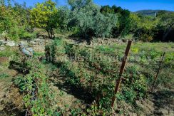 e515a5fe-67de-4816-bfa5-5883c4d73836_result