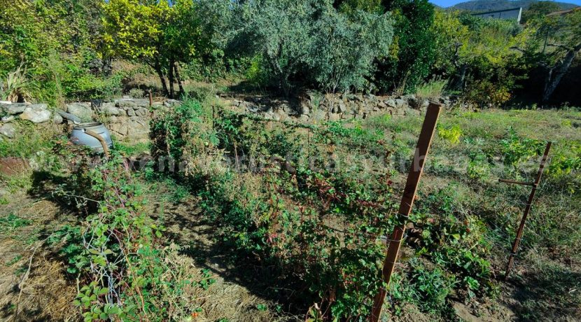 e515a5fe-67de-4816-bfa5-5883c4d73836_result