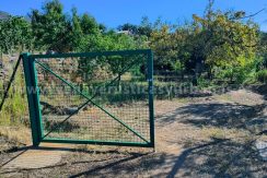 e7088e46-a000-4935-88e0-b11cc8f5af3b_result