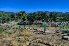 ea1ecc29-cbe9-4936-81d2-7e8984f8c464_result