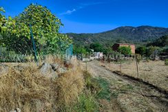 ec67cd4e-cad3-4aa3-a521-0f20f3d0beae_result