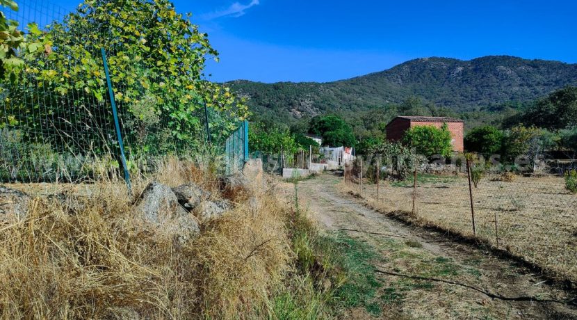 ec67cd4e-cad3-4aa3-a521-0f20f3d0beae_result