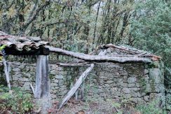 00d69686-2d79-407b-a83e-e224ca0b9421_result