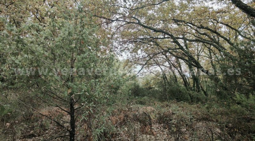 036d27de-218f-4fe1-963f-71def0b85d4a_result