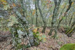 15bae596-914e-4743-b8a9-54eabb3cb444_result