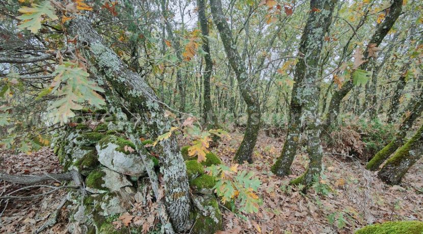 15bae596-914e-4743-b8a9-54eabb3cb444_result