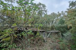 1c181574-d5f6-43fe-9c16-7b88470da9c5_result