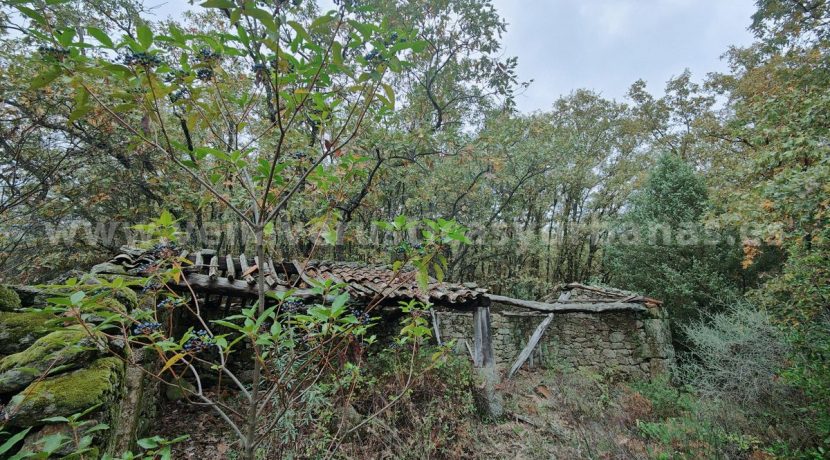 1c181574-d5f6-43fe-9c16-7b88470da9c5_result