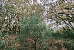 22d52e7e-0593-4745-99bd-9187fc997957_result