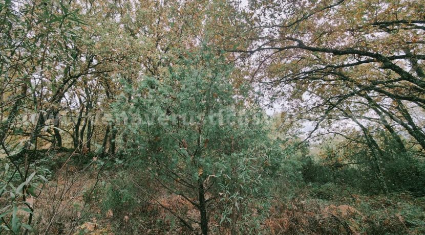 22d52e7e-0593-4745-99bd-9187fc997957_result