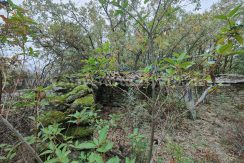 26e4b01e-ba38-4316-9250-a69e6ff75335_result