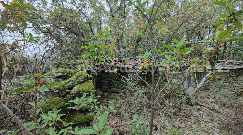 26e4b01e-ba38-4316-9250-a69e6ff75335_result