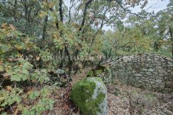 2bb87968-0a8b-45e9-a45b-85d9d8a5db24_result