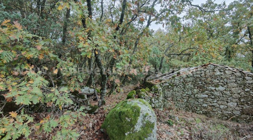 2bb87968-0a8b-45e9-a45b-85d9d8a5db24_result