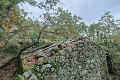 3ae3f1cf-0150-4a9b-909f-f3c0f2fa75f9_result