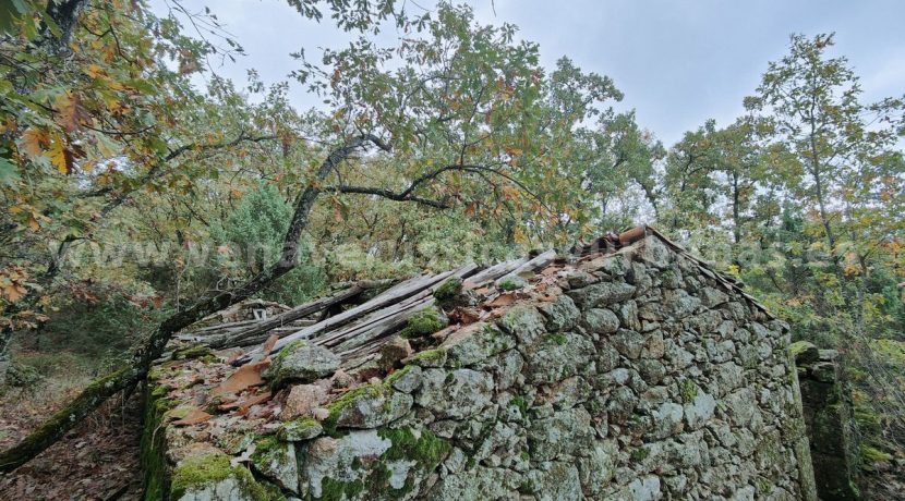 3ae3f1cf-0150-4a9b-909f-f3c0f2fa75f9_result