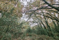 3b0c9a9a-0bac-43d9-a486-cea5b3854310_result