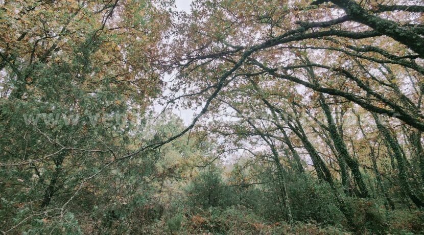 3b0c9a9a-0bac-43d9-a486-cea5b3854310_result